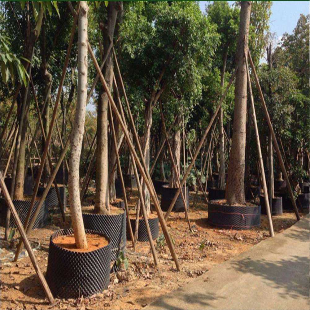 Grow Container Garden Tree Bon - Outdoor Furniture Metal review and price
